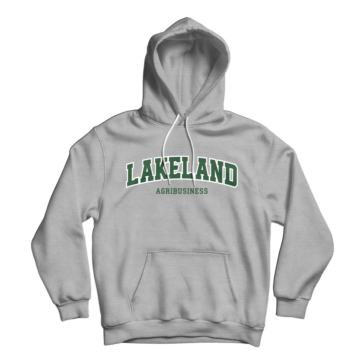 Lakeland College Programs Hoodie